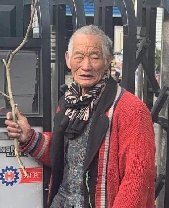 走失者照片 全国救助站