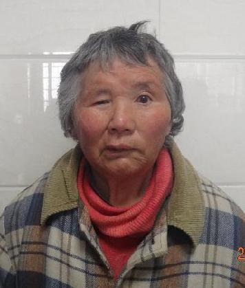走失者照片 全国救助站