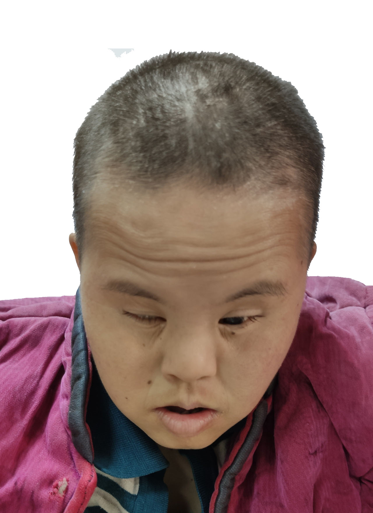 走失者照片 全国救助站
