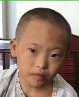 走失者照片 全国救助站