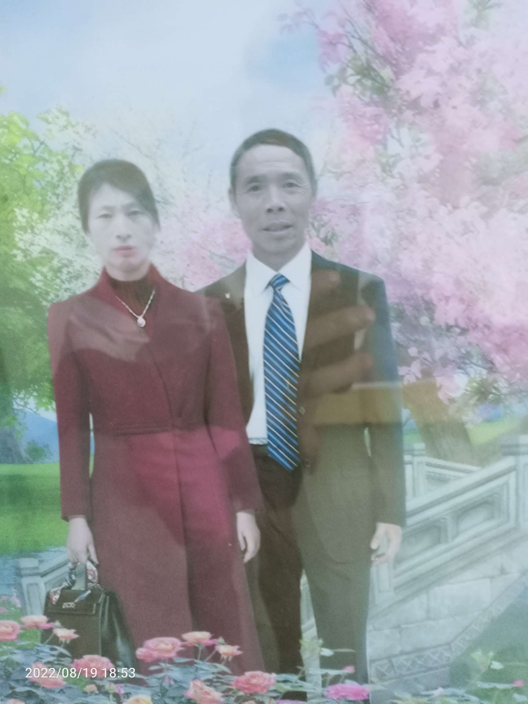 走失者照片 求求大家帮忙找找我被拐卖的女儿,谢...