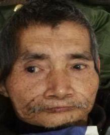 走失者照片 全国救助站