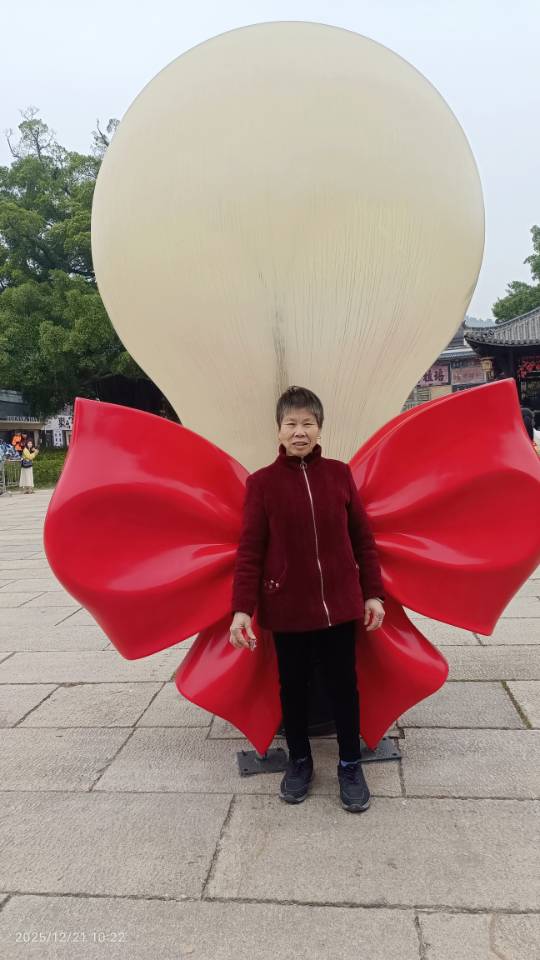 走失者照片 66岁妈妈走失，望看到的好心人帮她...