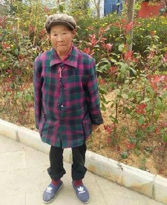 走失者照片 全国救助站