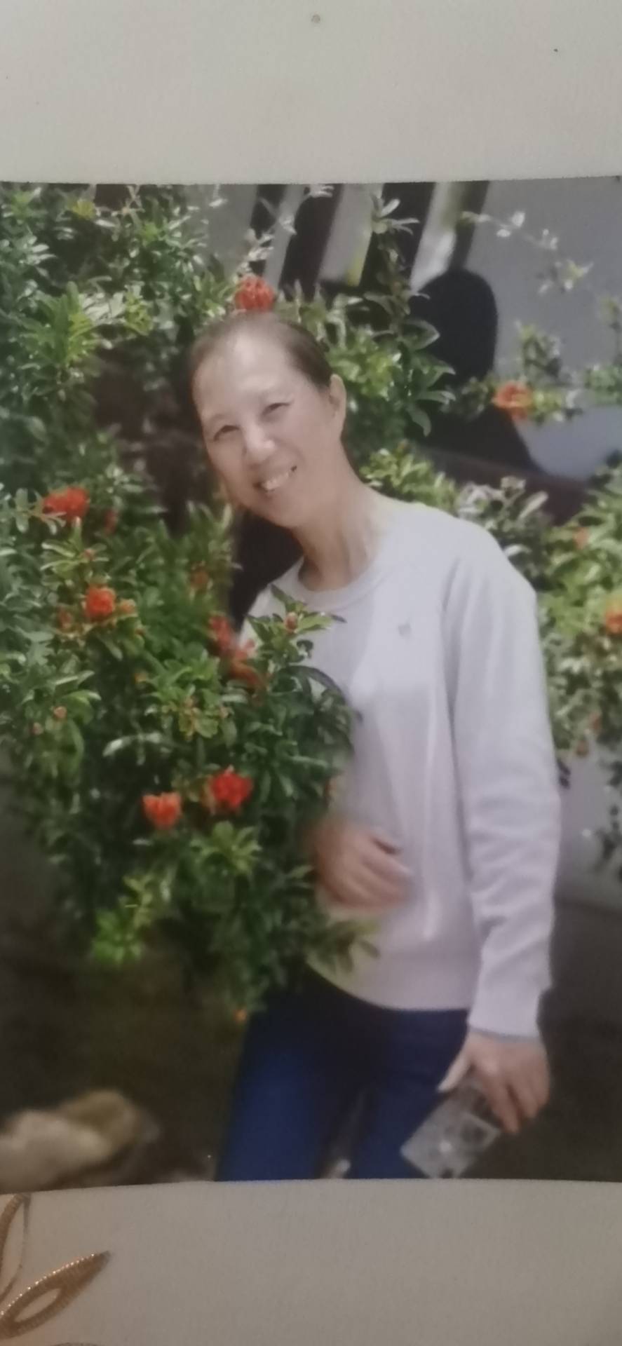 走失者照片 希望大家能帮我留意一下，看到了跟我...