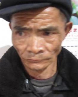 走失者照片 全国救助站