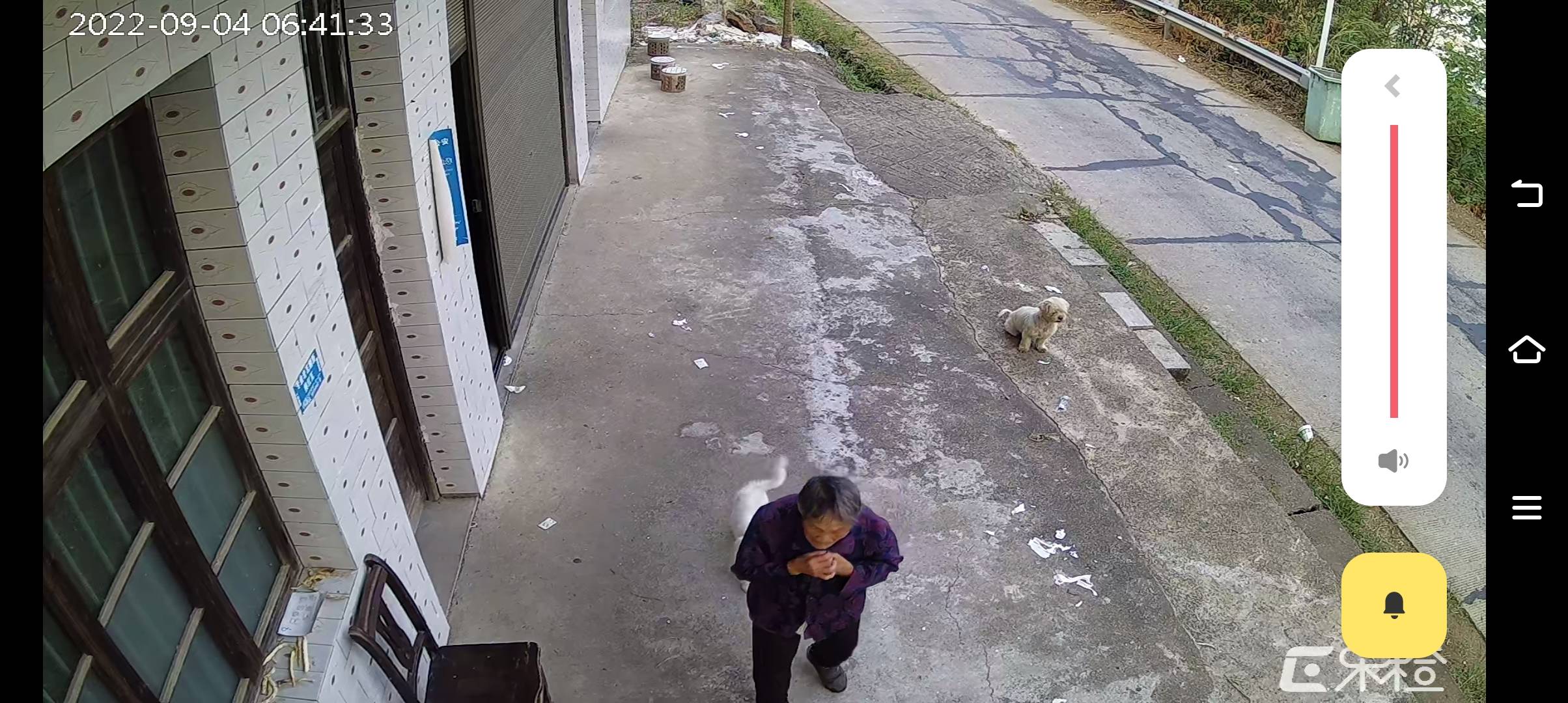 走失者照片 如有知情下落者，请马上联系