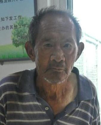 走失者照片 全国救助站