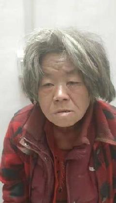 走失者照片 全国救助站