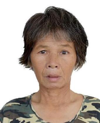 走失者照片 全国救助站