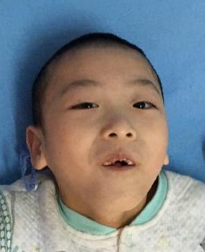 走失者照片 全国救助站