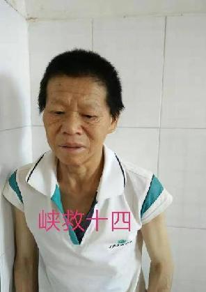走失者照片 全国救助站