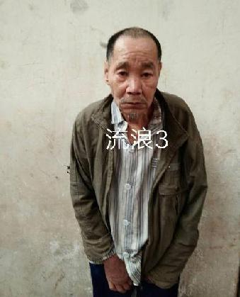 走失者照片 全国救助站