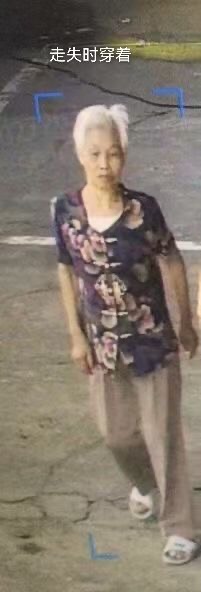 走失者照片 求求大家帮我找找我的婆婆