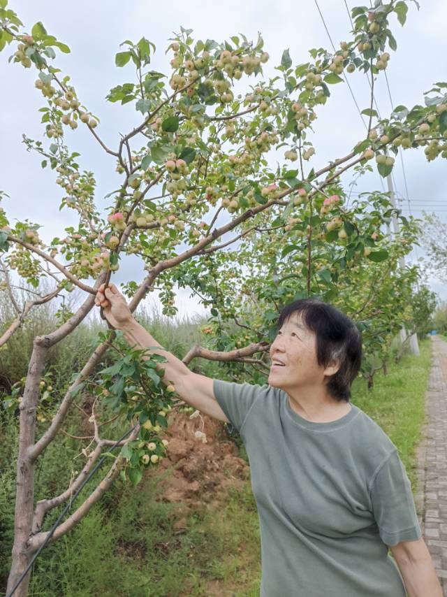 走失者照片 帮我寻找一下我的家人