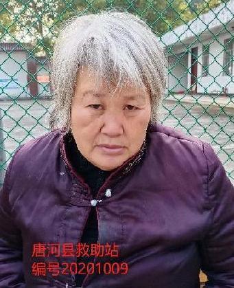 走失者照片 全国救助站
