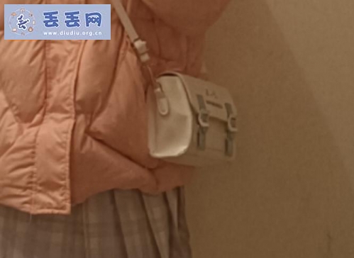 走失者照片 蓝白色玉桂狗包包