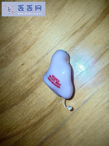 走失者照片 助听器，孙立