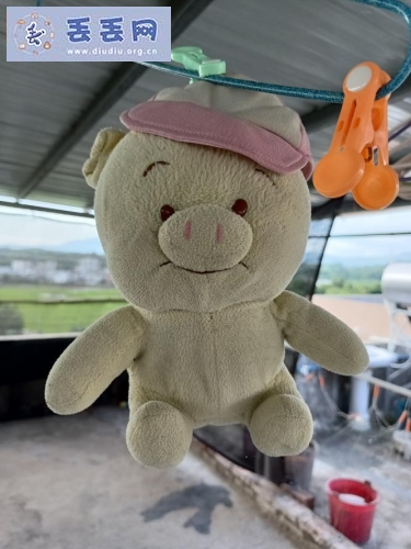 走失者照片 寻找一只旧的毛绒公仔小猪
