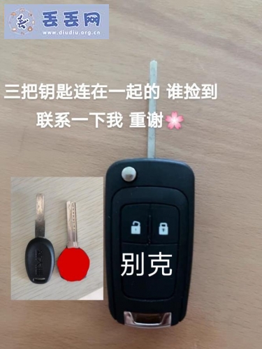 走失者照片 别克钥匙+两把门钥匙