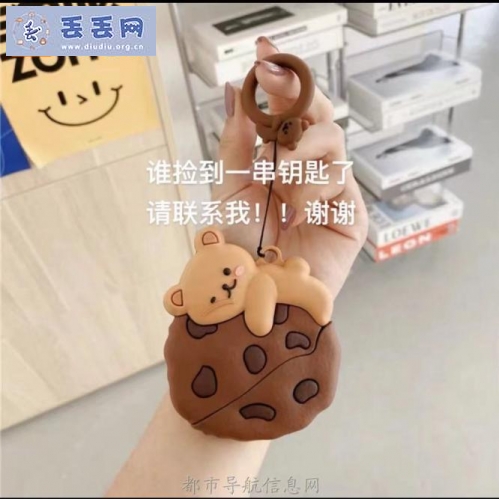 走失者照片 寻找一串钥匙