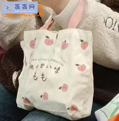 走失者照片 寻找包