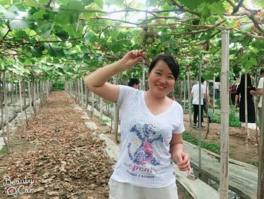 走失者照片 寻找杭州市余杭区余杭街道的赵燕巨的身份证