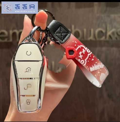 走失者照片 11.4号在三塘镇丢失车钥匙一把