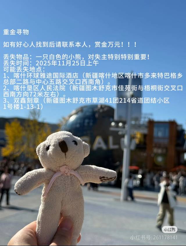 走失者照片 丢失一只白色小熊，对失主非常重要