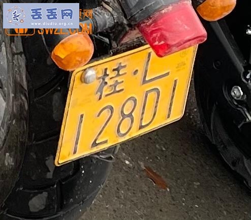 走失者照片 有偿寻车牌桂L128D1车牌