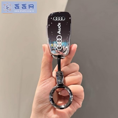 走失者照片 奥迪车钥匙
