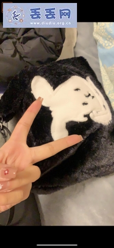 走失者照片 寻找女生手提背包