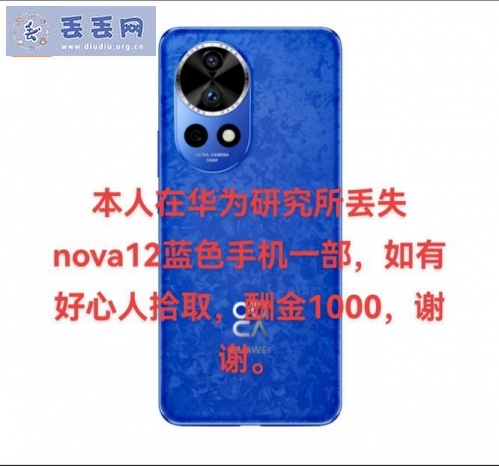 走失者照片 西安华为研究所附近寻找蓝色nova12…