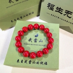 走失者照片 朱砂手串带金