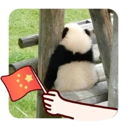 走失者照片 小明