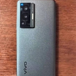 走失者照片 VIVOX70