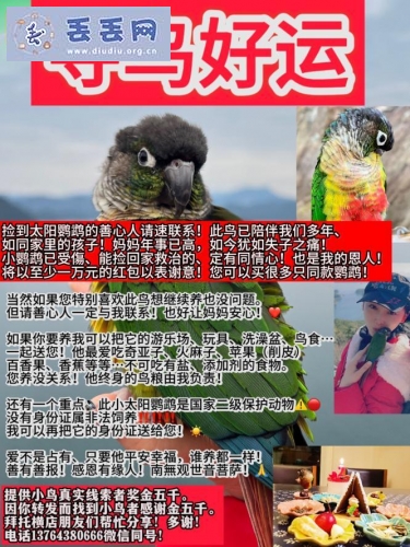 走失者照片 浙江省金华市东阳市《万元寻鸟》——“小…
