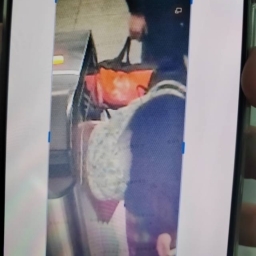 走失者照片 浅绿色后背肩包