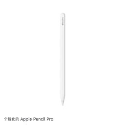 走失者照片 Applepencil