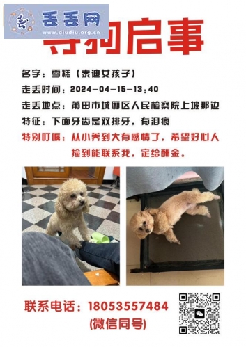 走失者照片 福建省莆田市城厢区《有偿寻狗》——10…