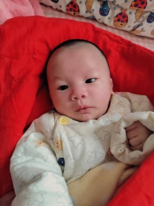 走失者照片 亲人寻家