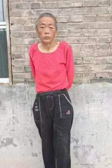 走失者照片 全国救助站