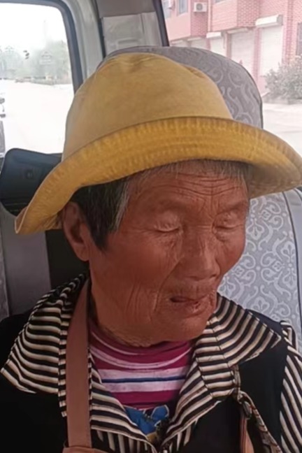 走失者照片 全国救助站