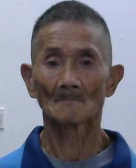 走失者照片 全国救助站