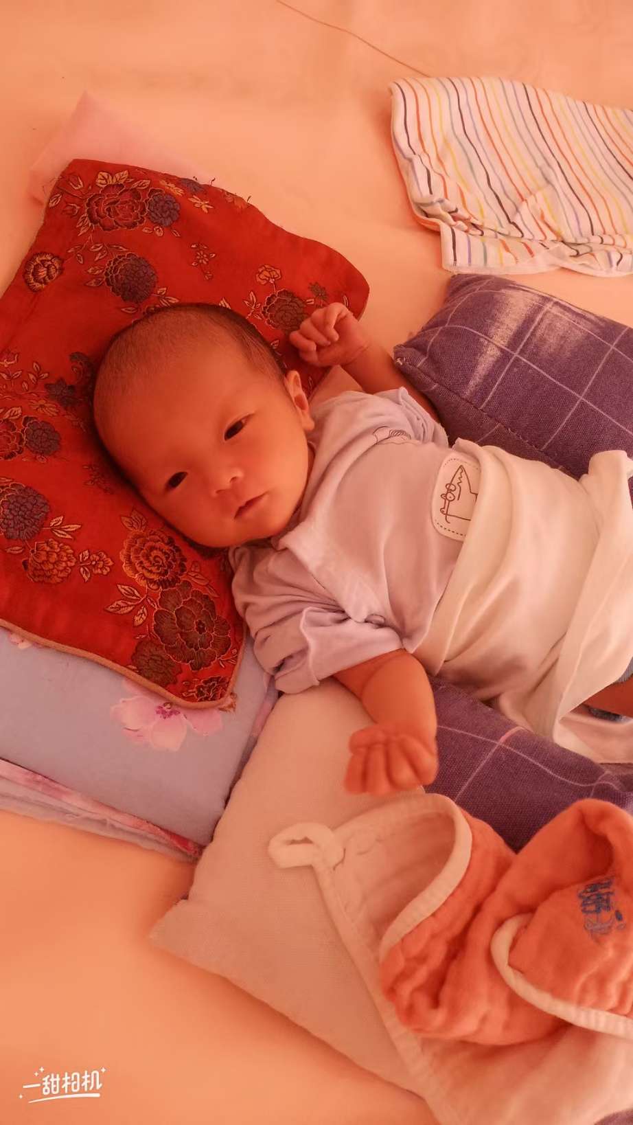走失者照片 寻找弃婴亲生父母