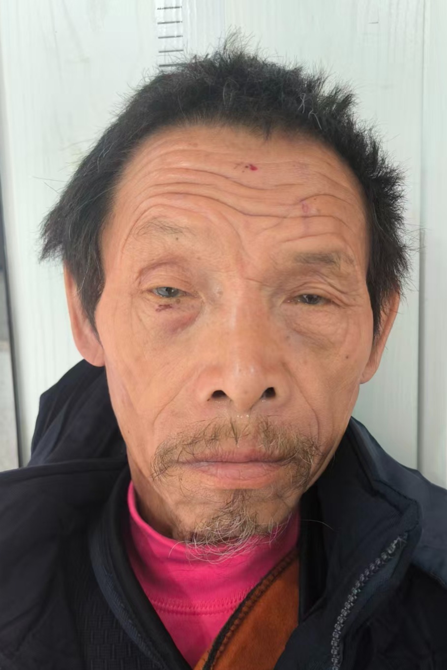 走失者照片 全国救助站