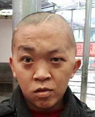 走失者照片 全国救助站