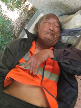 走失者照片 全国救助站