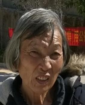 走失者照片 全国救助站