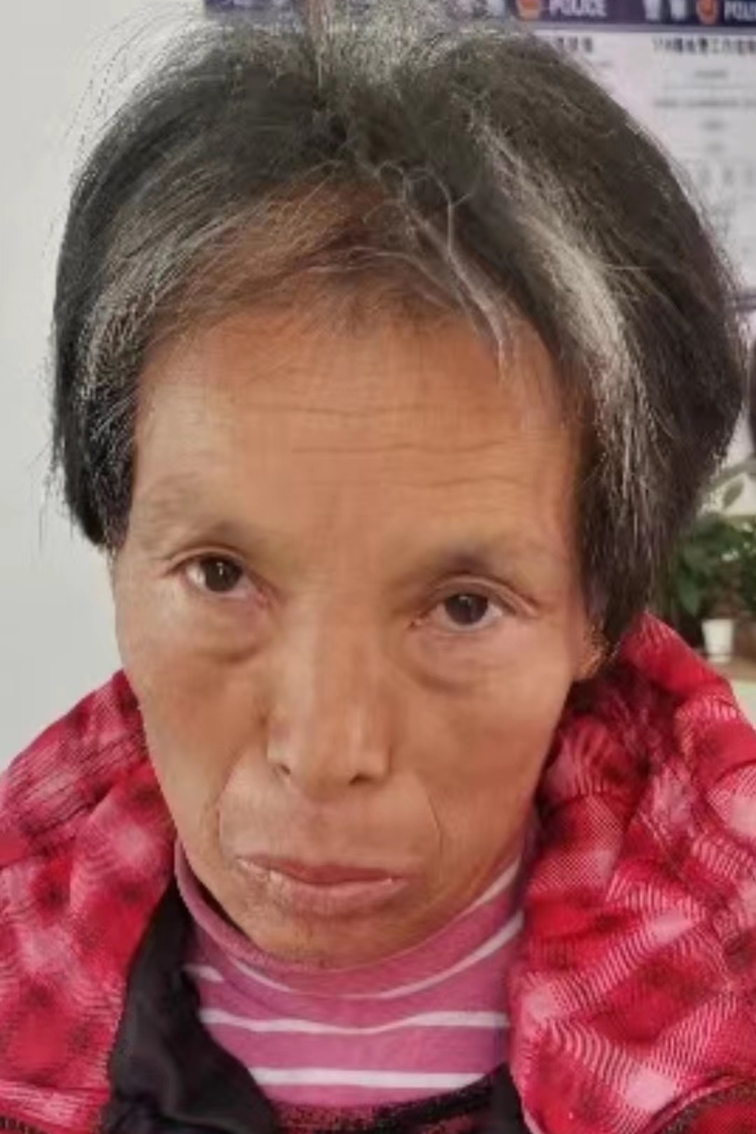 走失者照片 全国救助站